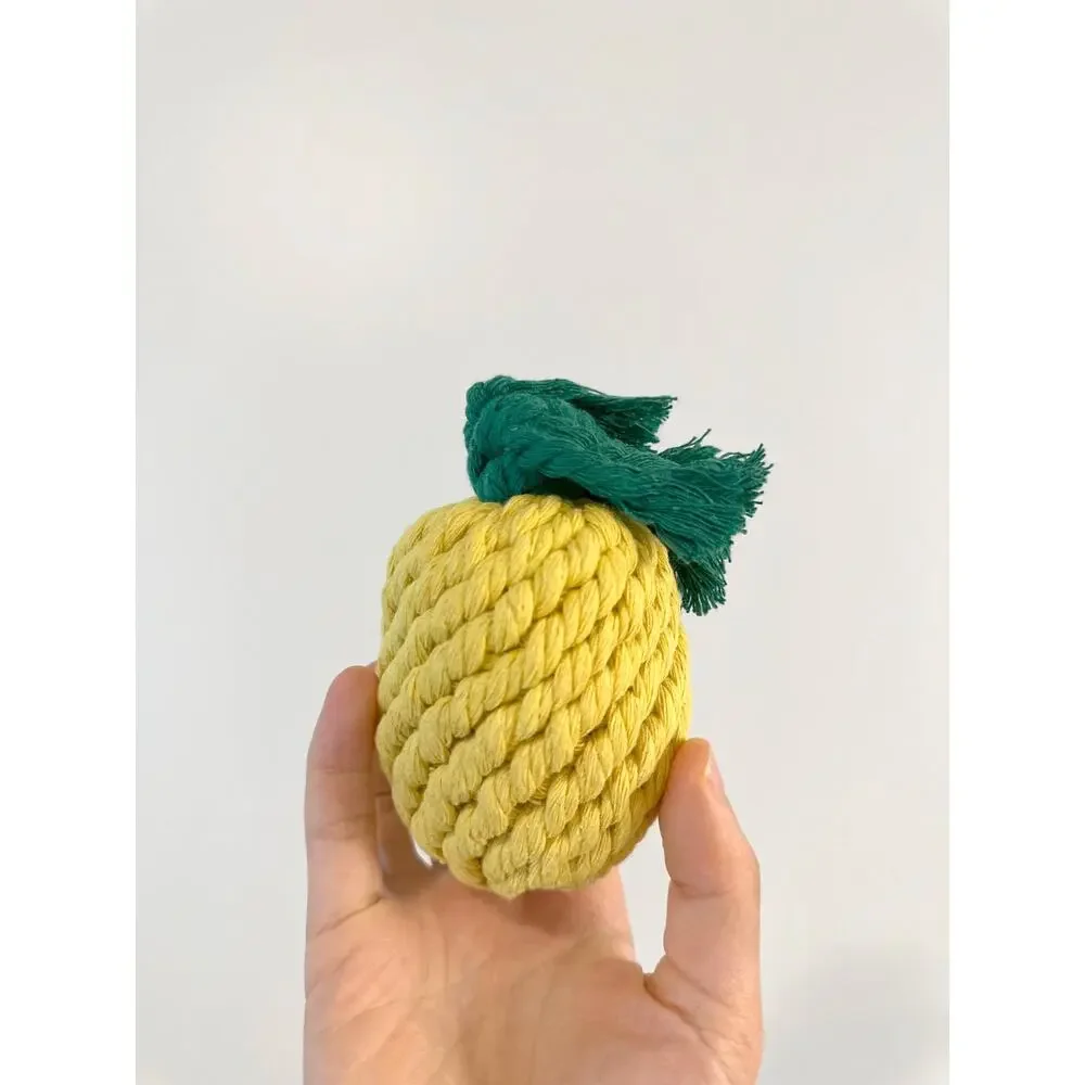 Monli Handcrafted Handmade Sustainable Pineapple Rope Toy